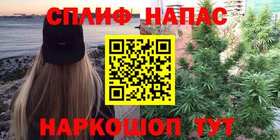 ешки Гагарин